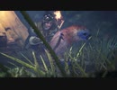 【MHWI】発売日からストーリー攻略するまでエクストラ【実況】　part2
