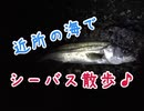 近所の海にシーバス釣り散歩行ってきた♪【もっち釣動組合♯７３】