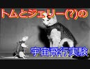【ゆっくり解説】宇宙に行った動物たち その5　フランスのトムとジェリー
