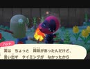 新しい子を呼んでこれそう！【あつまれ どうぶつの森】