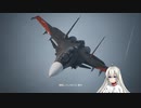 【ACE COMBAT 7】未知なる空のただ中で Part 7【VOICEROID実況】