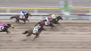 2020年5月4日船橋競馬11R 皐月盃(OP) サダムリスペクト