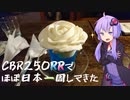 【岡山～岡山】CBR250RR(MC22)でほぼ日本一周してきた【12～13日目】