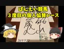 【ゆっくり】３度目の個人協賛レース【ばんえい】