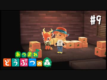 シリーズ初プレイ勢の「あつまれ どうぶつの森」#9【実況】