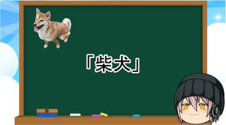 【ゆっくり解説】犬種３：柴犬