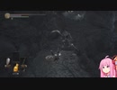 【DARKSOULS3】カラスからリンチを受けた茜