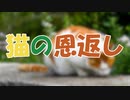 ささらとゆっくり昔話　第19話【猫の恩返し】
