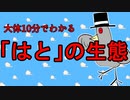 大体10分でわかる『はとの生態』
