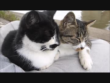 どういう状況だこれ…!!??