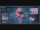 Subnautica 字幕プレイ Part8