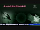 欧米諸国「オマエが殺ったんだよ」