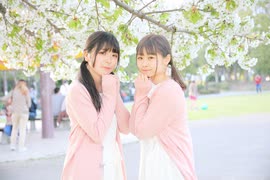 【すぅれな】kitai 踊ってみた