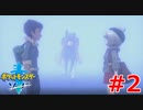 ポケモン剣の世界をゆるふわに楽しむ　#2