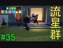 【実況】捻くれ者の無人島生活【あつまれ　どうぶつの森】３５日目