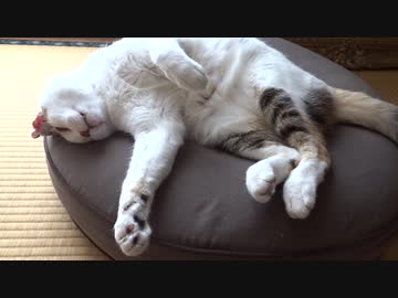 触れし