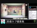 2020年05月04日【あつまれどうぶつの森】競馬場を作ろう！【放送アーカイブ】
