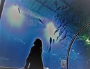 ☁ 少しずつ読み進めよう会「ホラー短編集 Ver2.0」実況プレイ