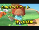 【あつ森日記】たぬきちのチケット使ってみた【あつまれどうぶつの森】:01