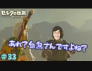 【続編決定記念】のんびりと伝説「ゼルダの伝説～ブレスオブザワイルド～」　＃33