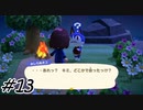 懐かしい邂逅【あつまれどうぶつの森】13