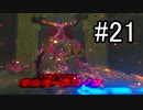 世界を冒険するべく「ゼルダの伝説 ブレスオブザワイルド」実況　part21