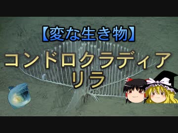 変な生き物 part6