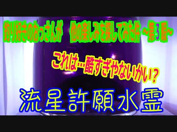 釣り好きのおっさんが　 他の楽しみを探してみた件  ～第3暇～ 「流星許願晶霊」