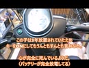 ベンリィ110PROを解説していく動画