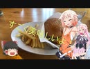 ARIA姉妹とバイクを楽しむ旅！！西湖湖畔キャンプ場編