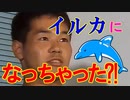 イッてる最中にイルカに転生した先輩