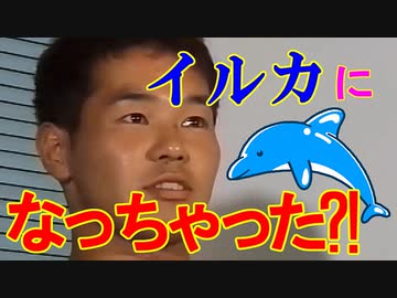 イッてる最中にイルカに転生した先輩