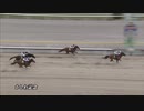 第32回かしわ記念 ワイドファラオ