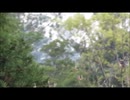 ベンリィ110で坂をのぼったら山火事に遭遇した動画（走行インプレ）