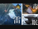 【実況】メインモンスターが全く根性なしで困る【MH3G.HDver】