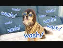 【ピコ太郎】コスプレ犬服を作ってみた