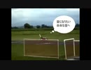 「芝」