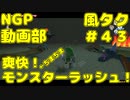 爽快！ちまちまモンスターラッシュ！【ゼルダの伝説 風のタクトHD】＃４３