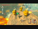 【Switch】リンクの記憶なしで成り行き旅【プレイ動画】part87