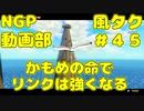 かもめの命と引き換えにリンクは強くなる【ゼルダの伝説 風のタクトHD】＃４５