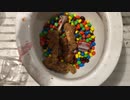 M&M'sとケンタッキーフライドチキンをトイレに流してみた