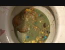 M&M'sとマクドナルドのチーズバーガー１０個をトイレに流してみた