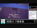 2020年05月05日【あつまれどうぶつの森】競馬場を作ろう！【放送アーカイブ】