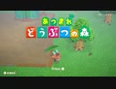 【噛み雑談】あつまらない　どうぶつの森　DASH！1日目