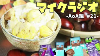 【マイクラジオ】最強の匠は俺だ！絶望的センス4人衆がカオスマイクラジオAOA編♯21【4人実況】