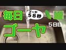 【毎日ゴーヤ】毎日５８秒でゴーヤの成長をみる動画（５日目）
