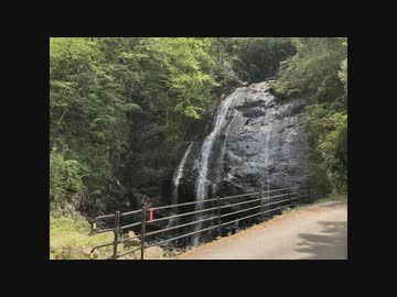 【ドラレコ】県道210号線①『終点から井内峠隧道区間』-20200505-