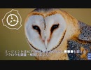 SCP-391 - ミダースフクロウ