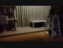 2019年10月1日　10秒動画　猫スズ(夜)　1910011938 10s KVID1109　cari.jp