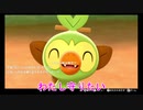 ムスコの成長 キャンプ編『ポケモン盾』